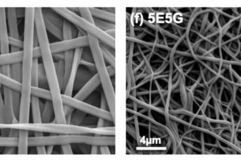 Representative scanning electron microscopy (SEM)images of electrospun 0E10G and 5E5G scaffolds.