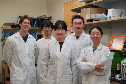 Dr. Lili Yang stands beside members of her UCLA lab. 