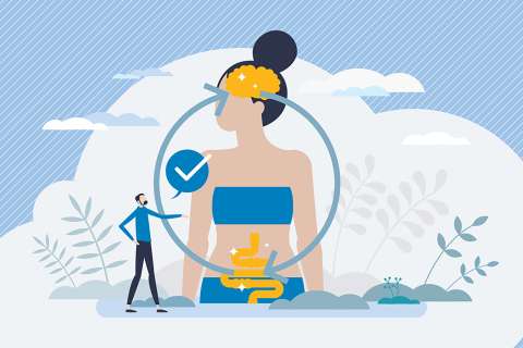 Brain Gut Relationship