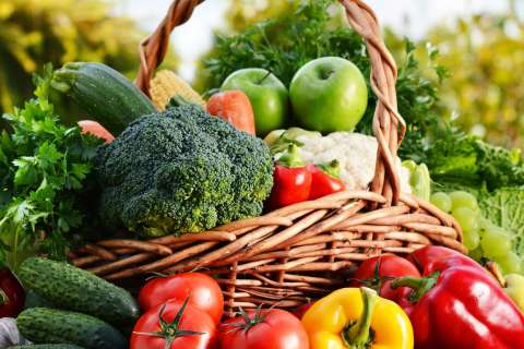 Raw organic vegetables in the garden
