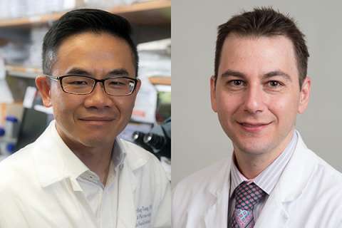 Dr. Hsian-Rong Tseng, left, and Dr. Vatche Agopian