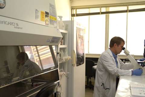 Scientist in a lab coat working with a microscope in a bright laboratory with equipment and safety cabinets