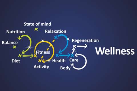 8 UCLA Health experts offer tips for a healthy 2025 | UCLA Health