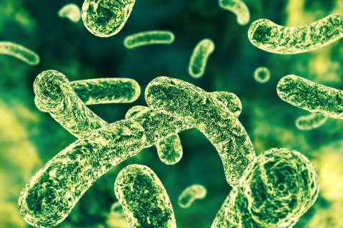 Digestive diseases