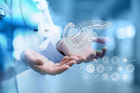 Doctor holding 3D digital illustration of a pancreas