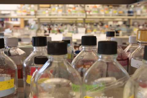Bottles in the UCLA Health orthopedics lab