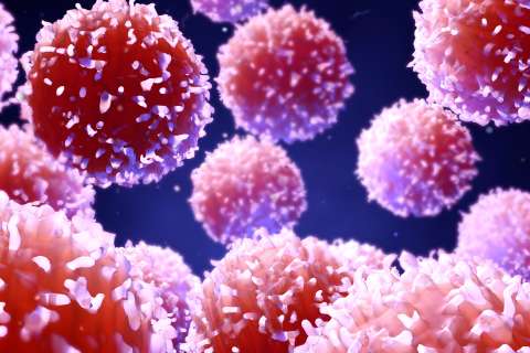 3D illustration of T cells