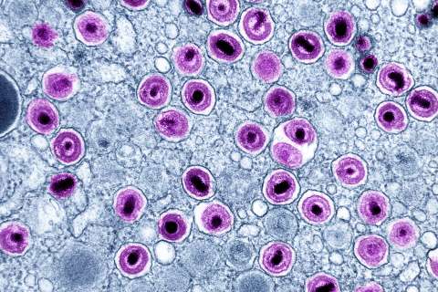 CMV particles