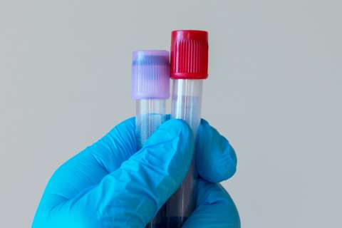 Gloved hand holding test tube