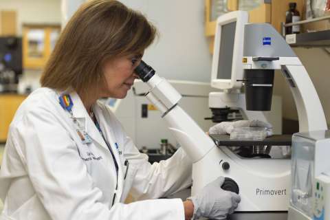 Dr. Beth Karlan looks through a microscope