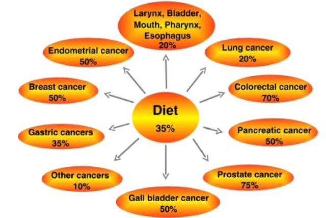 Diagram showing how much dieting plays a prime role in treating cancer.