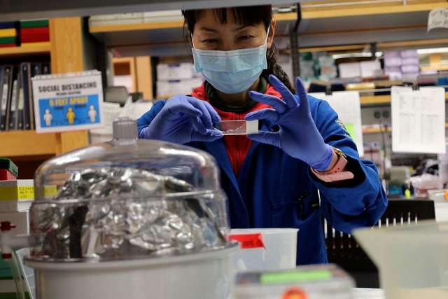 Lab member holding tray