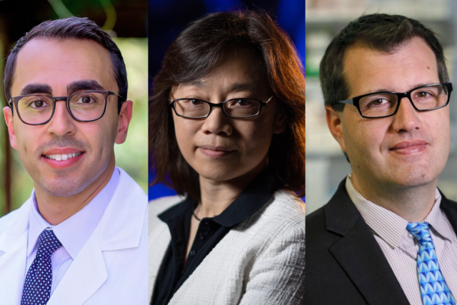 Mina Sedrak, MD, MS; Ya-Chen Tina Shih, PhD; and Paul Spellman, PhD