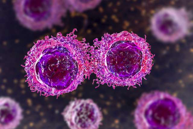 Cancer cells dividing