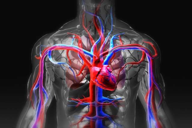 Heart failure is a growing public health issue that's hard to manage on a global scale.