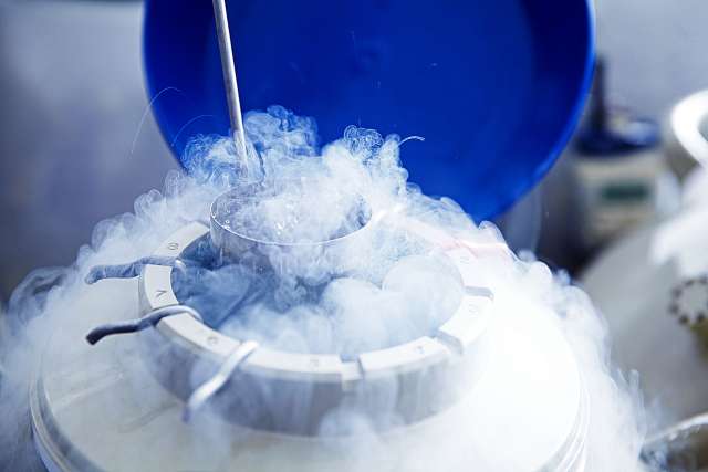 Freezing eggs