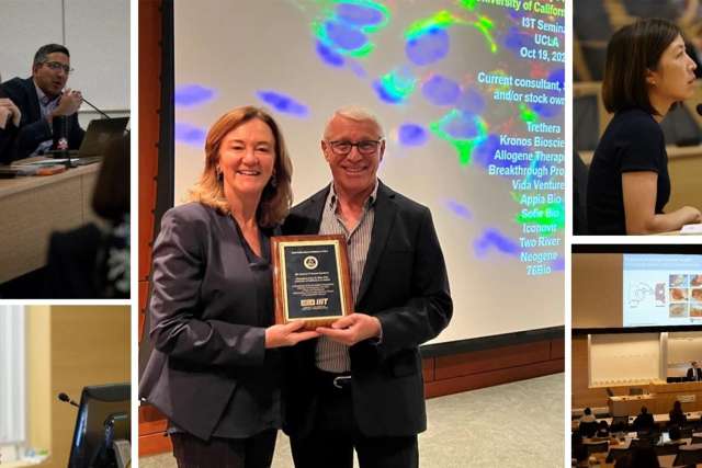 collage of the I3T group