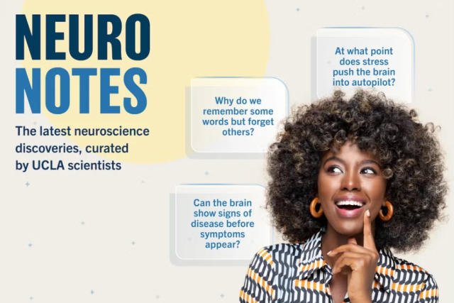 NeuroNotes: a new way to explore neuroscience at UCLA