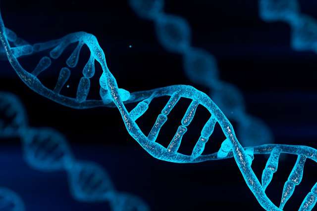 Genetics and chromosomes