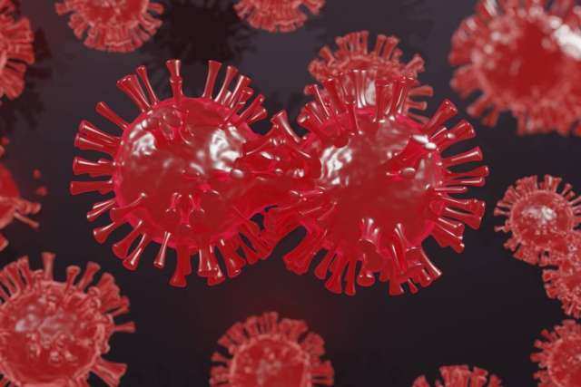 3D rendering of red coronavirus particles, with two prominently shown merging or mutating against a dark background