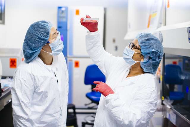 Scientists in Broad Stem Cell Research Center
