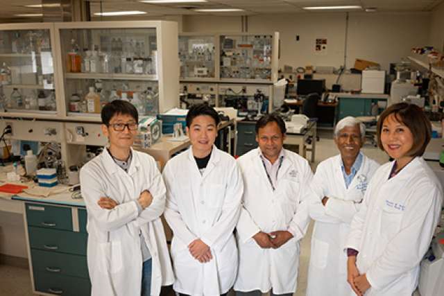 Wang research team