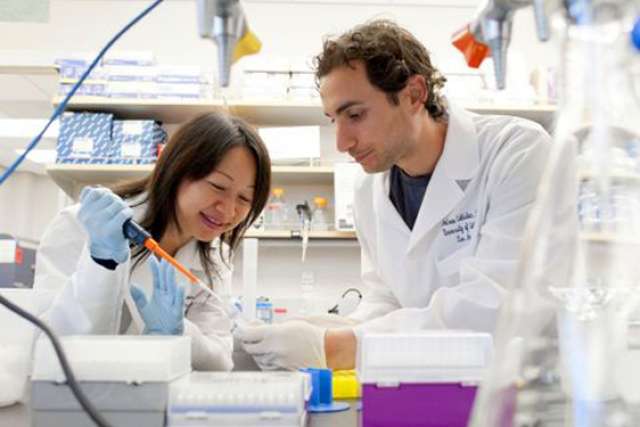 UCLA cancer researchers Andrew Goldstein and Lili Yang in the lab