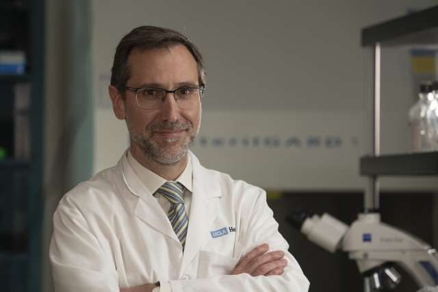 Dr. Antoni Ribas