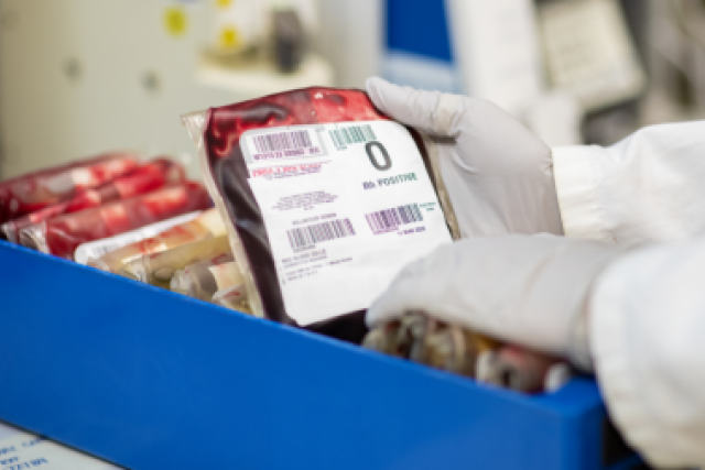 A pair of gloved hands holds a bag of O-positive blood, surrounded by other blood bags in a blue bin.