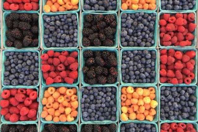 Assorted berries in small containers arranged in a colorful grid.
