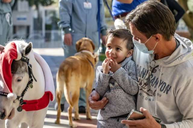Masked man holds toddler beside small white pony in festive harness
