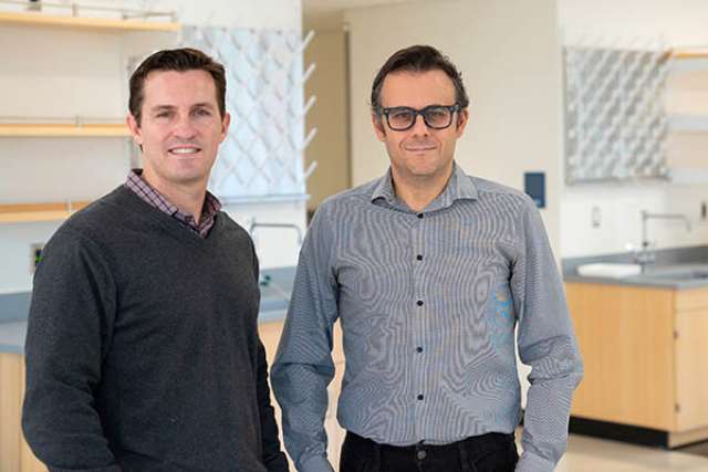 UCLA cancer researchers Claudio Scafoglio and David Shackelford