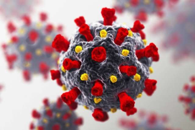 Close-up illustration of a virus particle, spherical with a gray textured surface and red spike proteins, along with smaller yellow structures. The background shows blurred similar particles.
