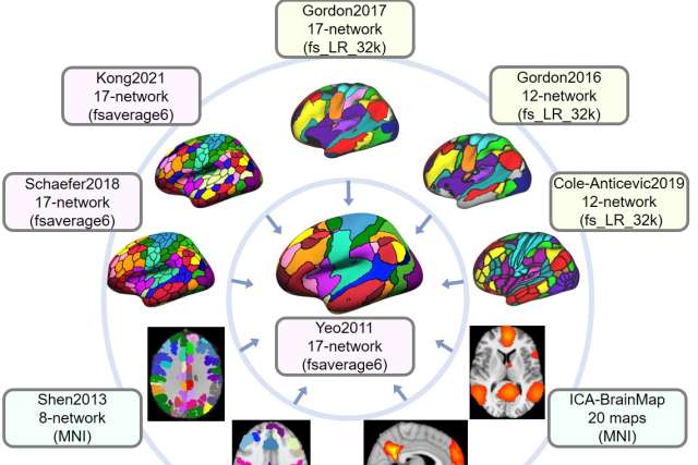 Ten example brain atlases shown, with the center atlas as reference; surrounding atlases are projected to it to compute Dice overlap coefficients