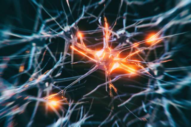 3D-rendered image of neuron cell network on black background