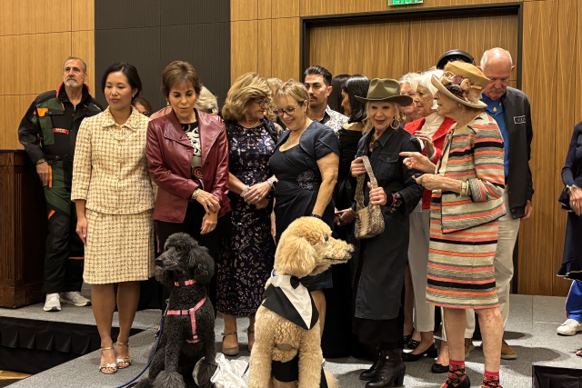 UCLA Health Auxiliary volunteers.