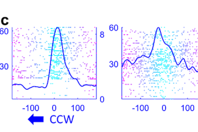 Two scatter plots with blue lines, labeled “CCW” with a left arrow; points are colored pink and cyan against white background
