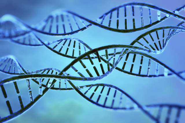 3d illustration of a cell DNA
