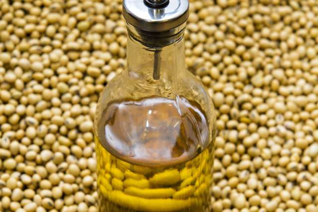 High oleic acid soybean oil