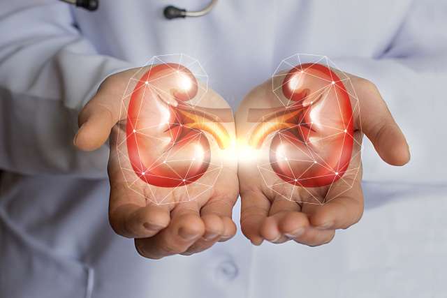 Kidney transplant or donor