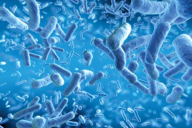 A photo of the microbiome