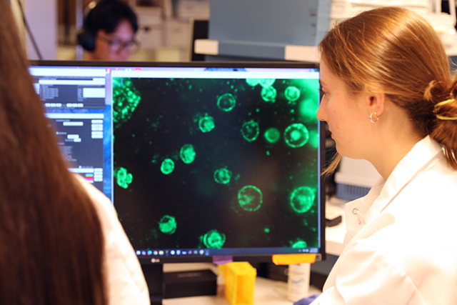 Two researchers at a lab monitor displaying fluorescent green cell images