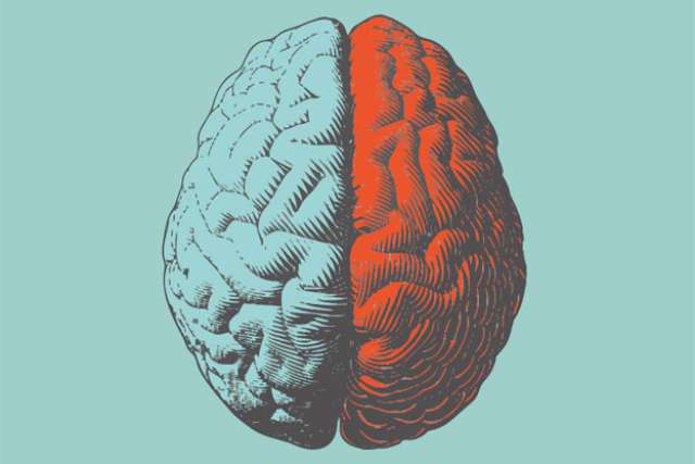 Illustration of Human Brain - U Magazine Spring 2023