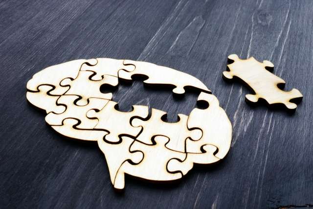 Brain made from wooden puzzles.