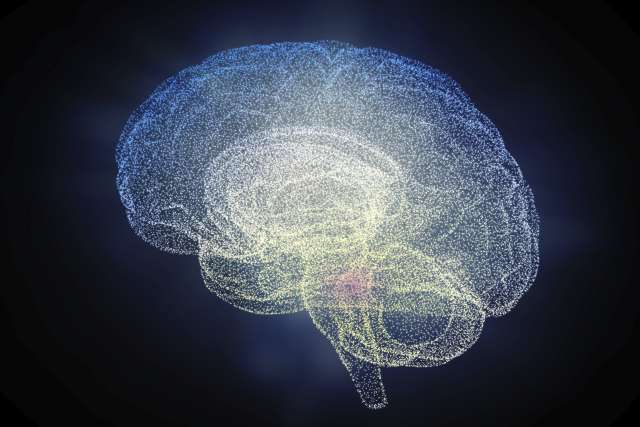 Glowing wireframe human brain with highlighted central region