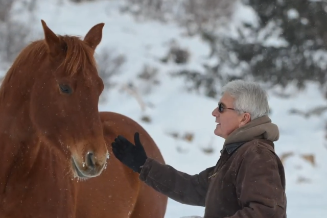 Ken petting a horse