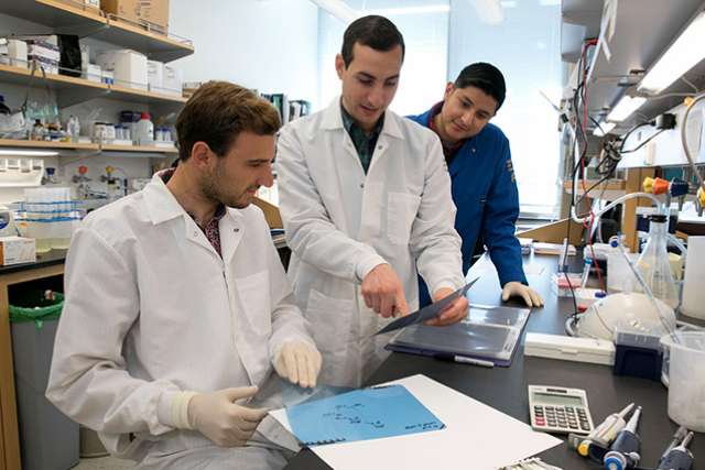 UCLA cancer researcher Andrew Goldstein and his lab team
