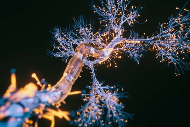 Close-up view of a neuron cell 