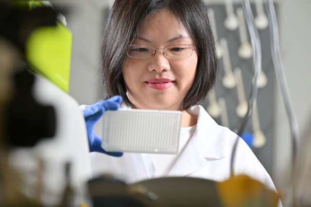 Bishuang Cai, PhD