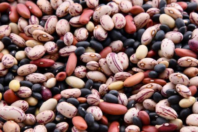 Photo of mixed dried beans